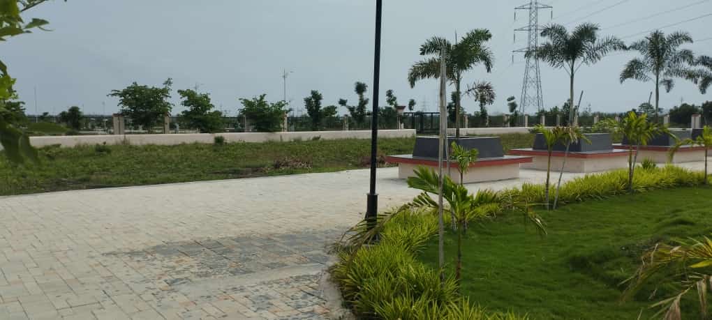 Plot For Sale in Pipla