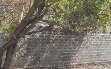 Plot For Sale in Jyoti Banjara, Banjara Hills