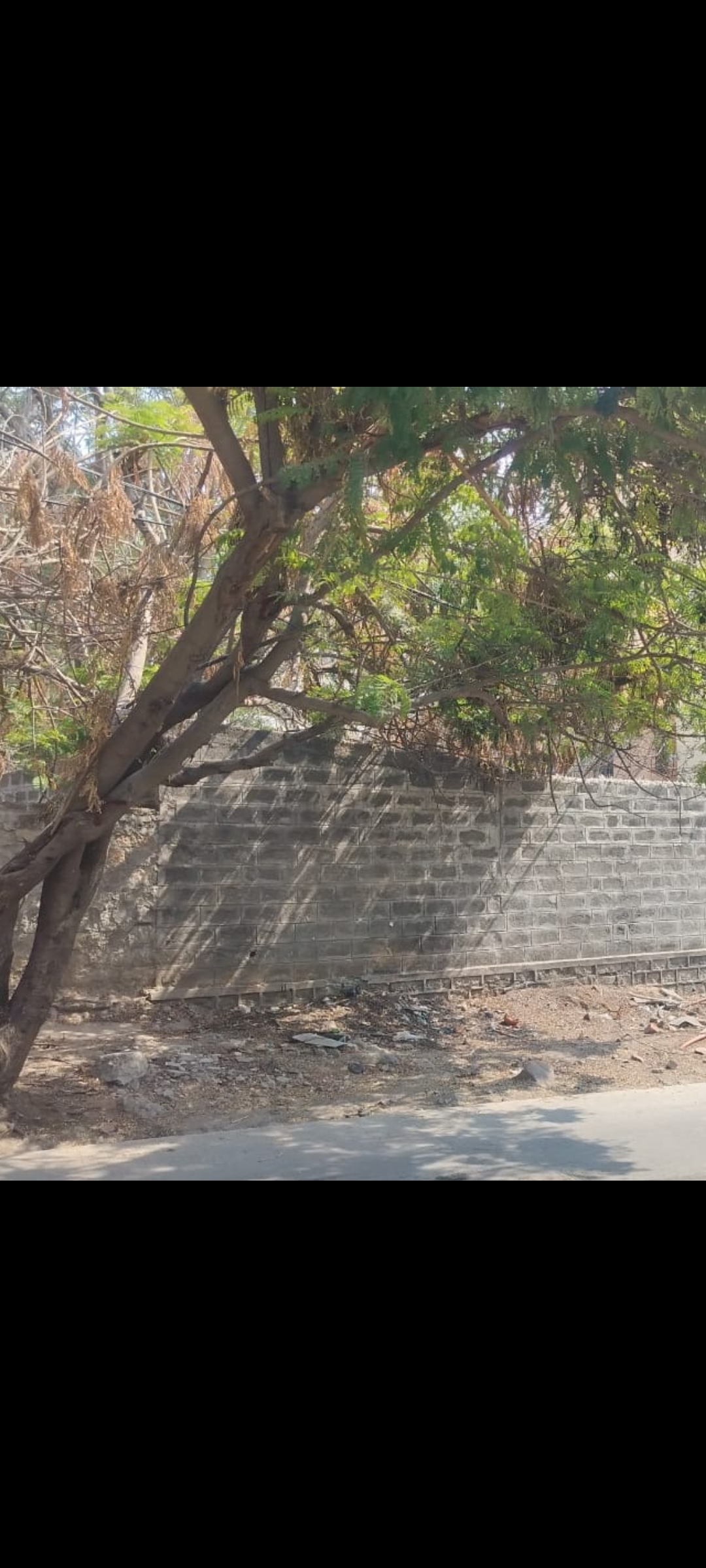 Plot For Sale in Jyoti Banjara