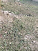 350 Sq.Yd. Plot in Sector 10