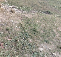 Plot For Sale in Sector 10
