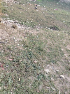 Plot For Sale in Sector 10