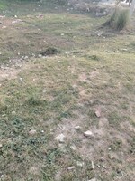 350 Sq.Yd. Plot in Sector 10