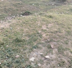 Plot For Sale in Sector 10