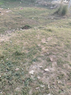 Plot For Sale in Sector 10