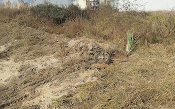 Plot For Sale in Sector 2