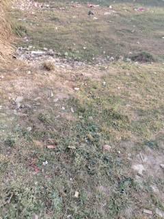 Plot For Sale in Sector 2