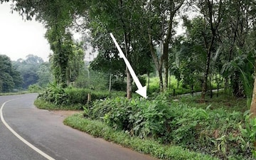 Plot For Sale in Aduvathuruthu