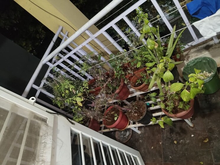 Balcony, dhanori 2 Bedroom 750 Sq.Ft. Apartment In Dhanori Pune 8183927