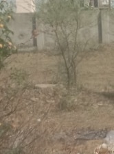 Plot For Sale in Devguradia