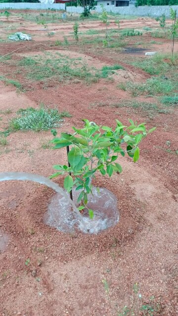 Plot Area in  Plot at Shamirpet – for Sale