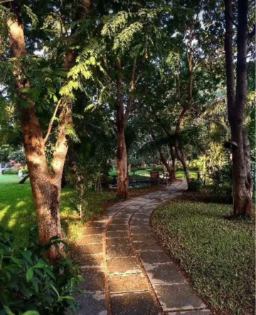  Plot – Exterior View View at Lambha - for Sale