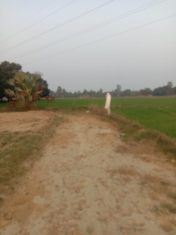 Plot Area in  Plot at Kanpur Road – for Sale
