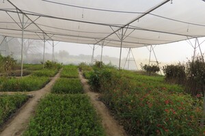 Plot Area in  Plot at Supertech Up Country Villa, Sector 17a Yamuna Expressway – for Sale