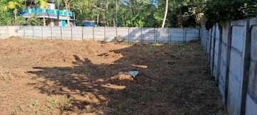 Plot For Resale in Thuravoor Kochi  8184543