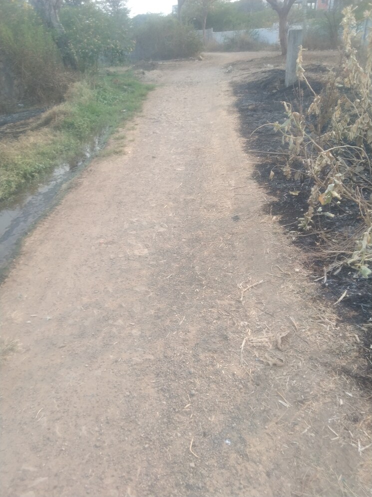 undefined, thakurs-nivas  350 Sq.Yd. Plot In Peeranchuruvu Hyderabad 8184611