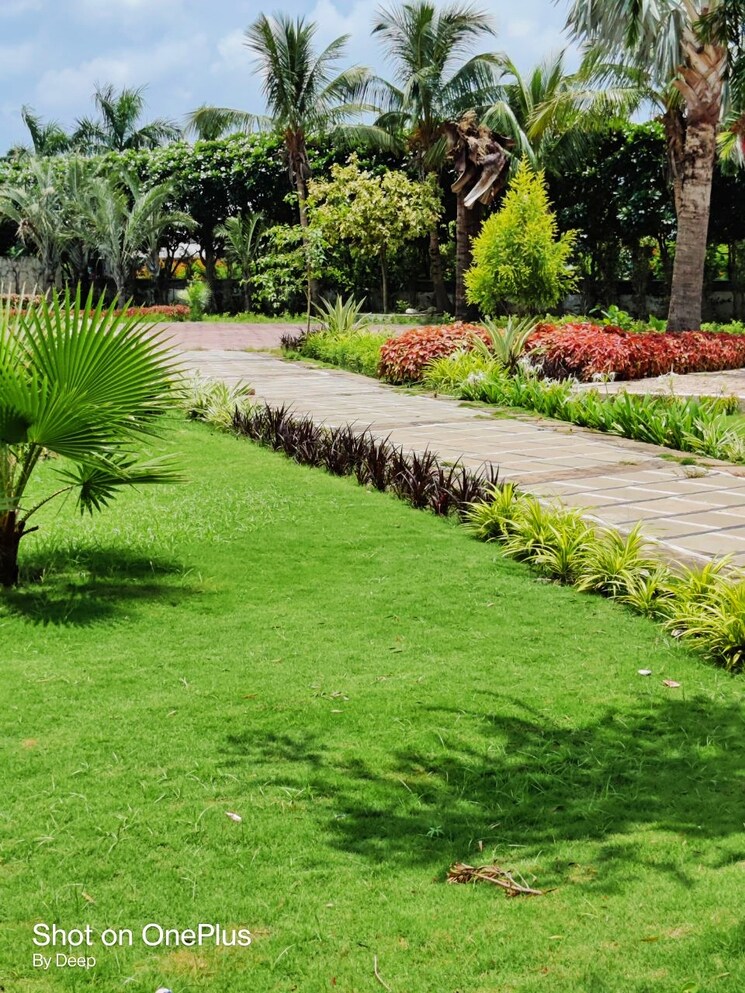 Garden, sejbahar  3000 Sq.Ft. Plot In Sejbahar Raipur 8184704