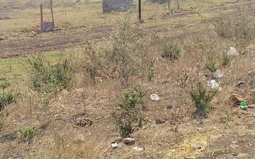 Plot For Sale in Manish Nagar
