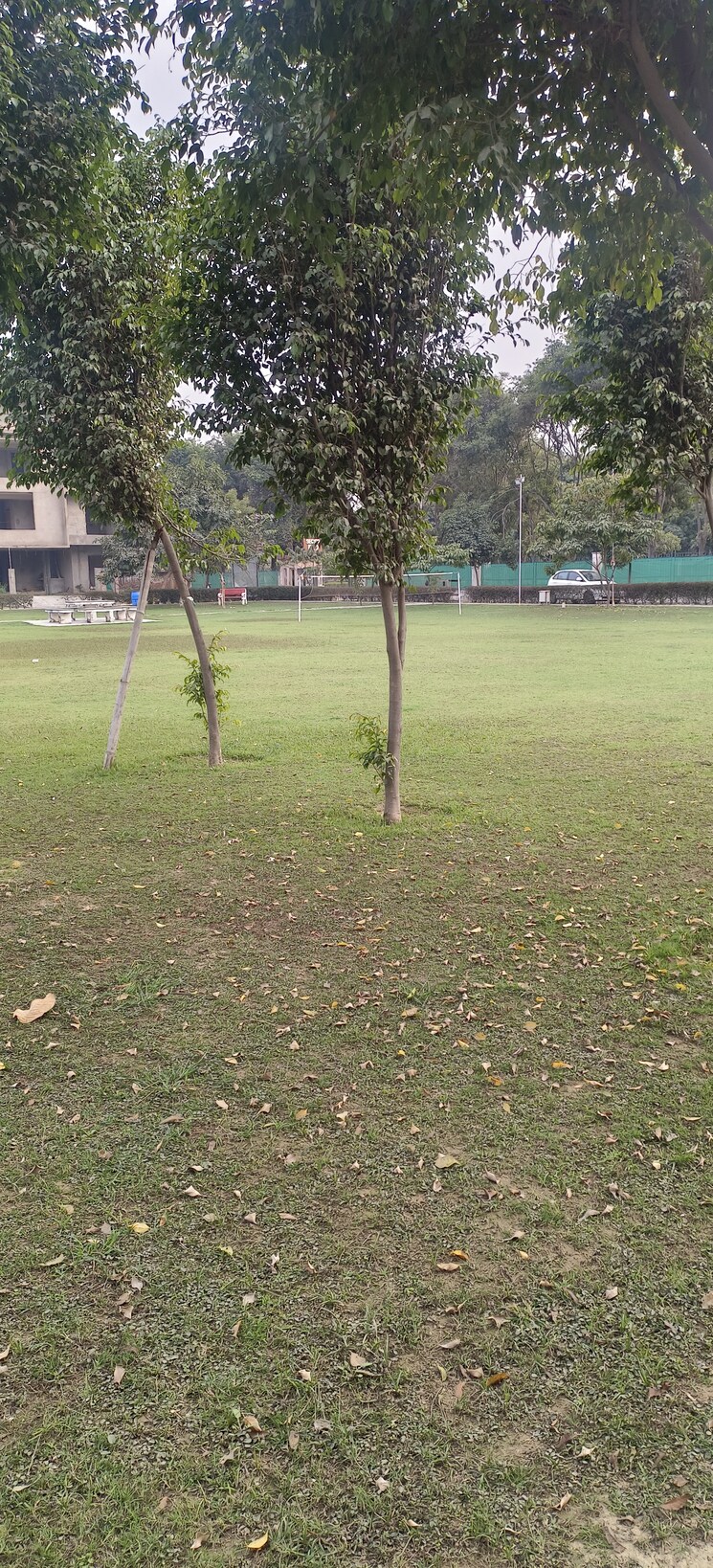 Garden, ansal-sushant-golf-city  1875 Sq.Ft. Plot In Sushant Golf City Lucknow 8185127