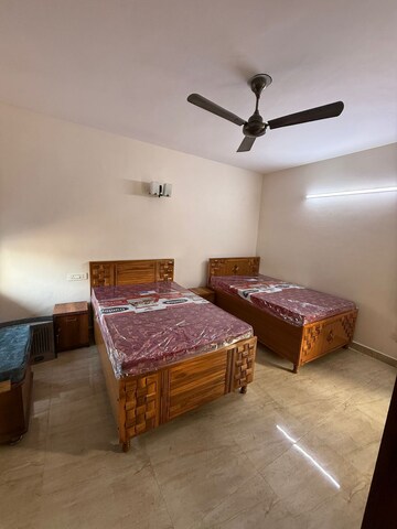Living Room in 3 BHK Builder Floor at Green Park – for Rent