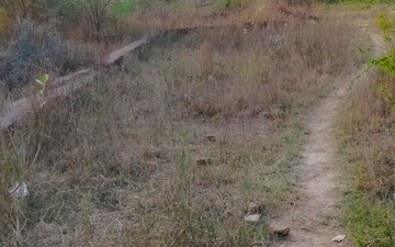 Plot For Sale in Upsidc Site B