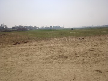 Plot Area in  Plot at Maniram – for Sale