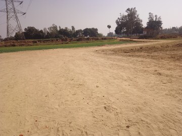  Plot For Sale in Maniram