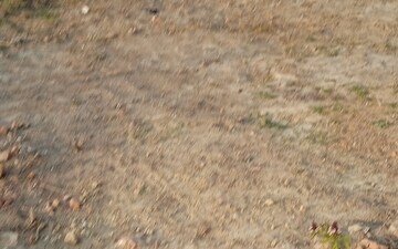 Plot For Sale in Jewar