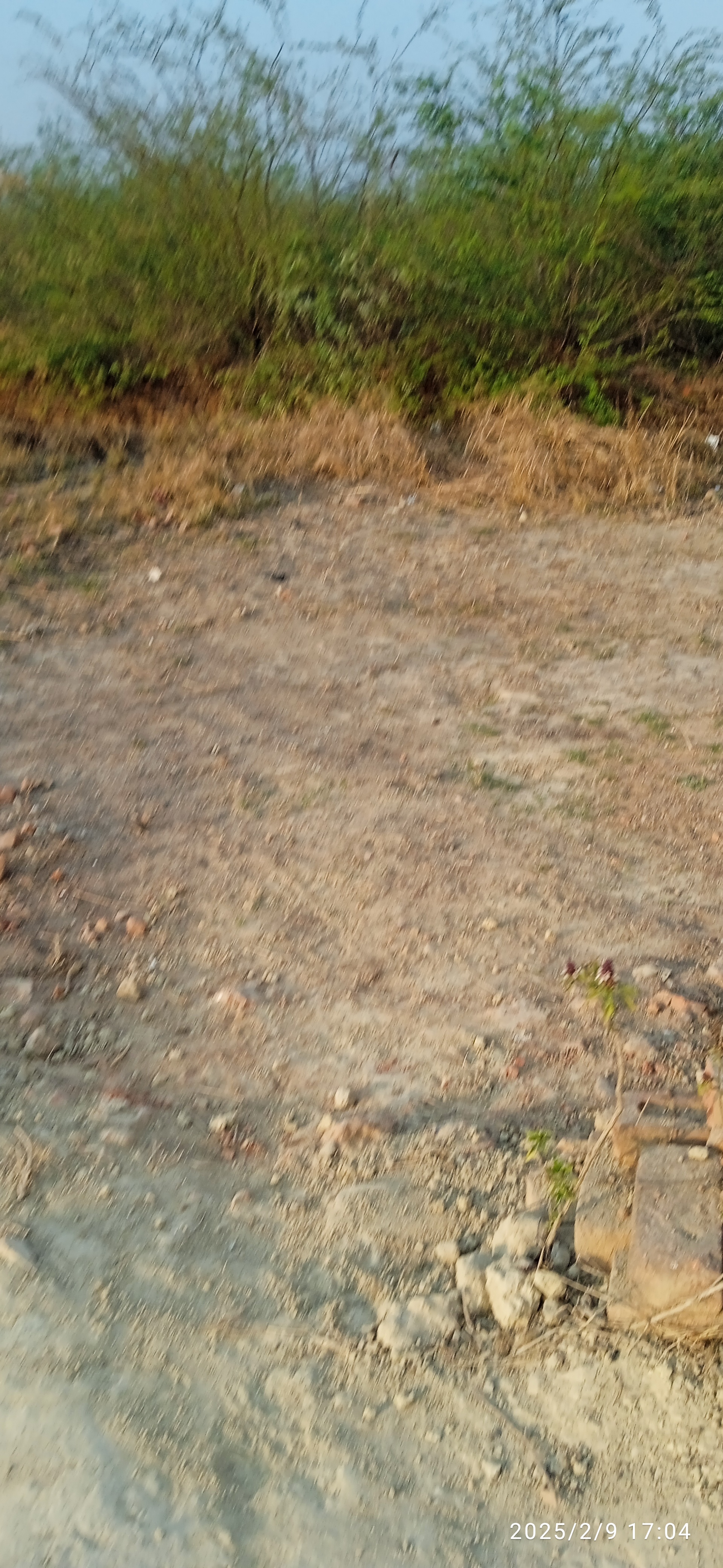 Plot For Sale in Jahangirpur Jawer Airport