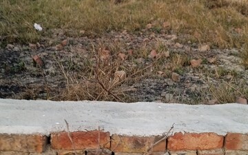 Plot For Sale in Jewar