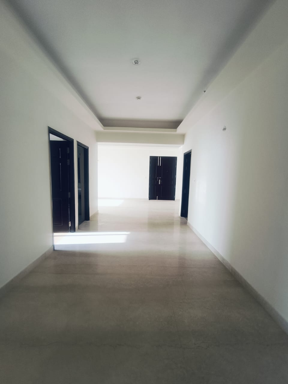 6+ BHK + Servant Room,Study Room Villa For Sale in Sector 46 Noida 