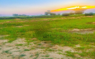 Plot For Sale in Dankaur