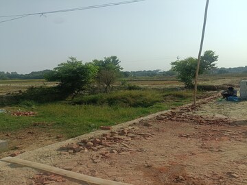 Plot Area in  Plot at Dankaur – for Sale