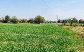 Plot For Sale in Science City