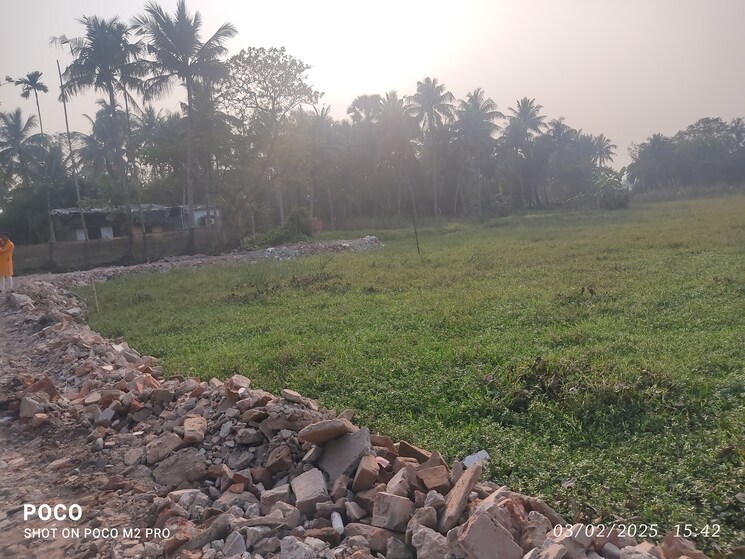 undefined, tollygunge  1440 Sq.Ft. Plot In Tollygunge Kolkata 8186285