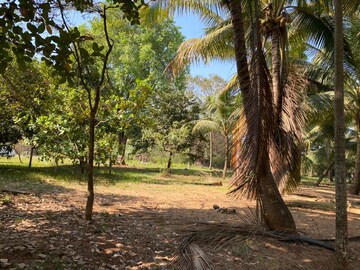  Plot – Garden View at Alibag - for Sale
