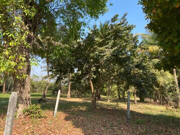  Plot – Garden View at Alibag - for Sale