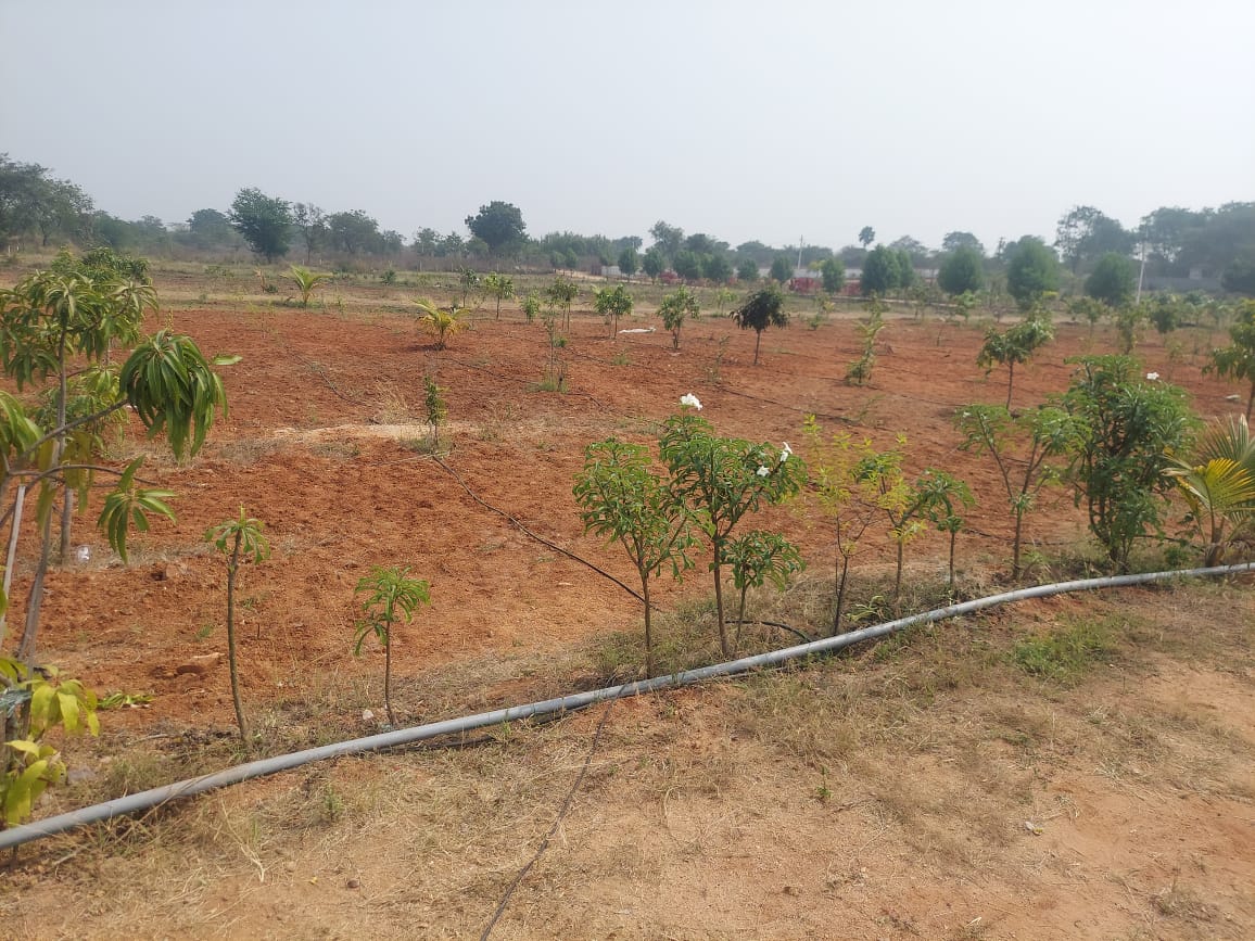 Plot For Sale in Asr Projects 