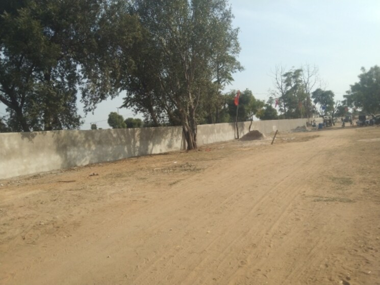 undefined, jaipur ajmer express highway  100 Sq.Yd. Plot In JaipuR Ajmer Express Highway Jaipur 8186556