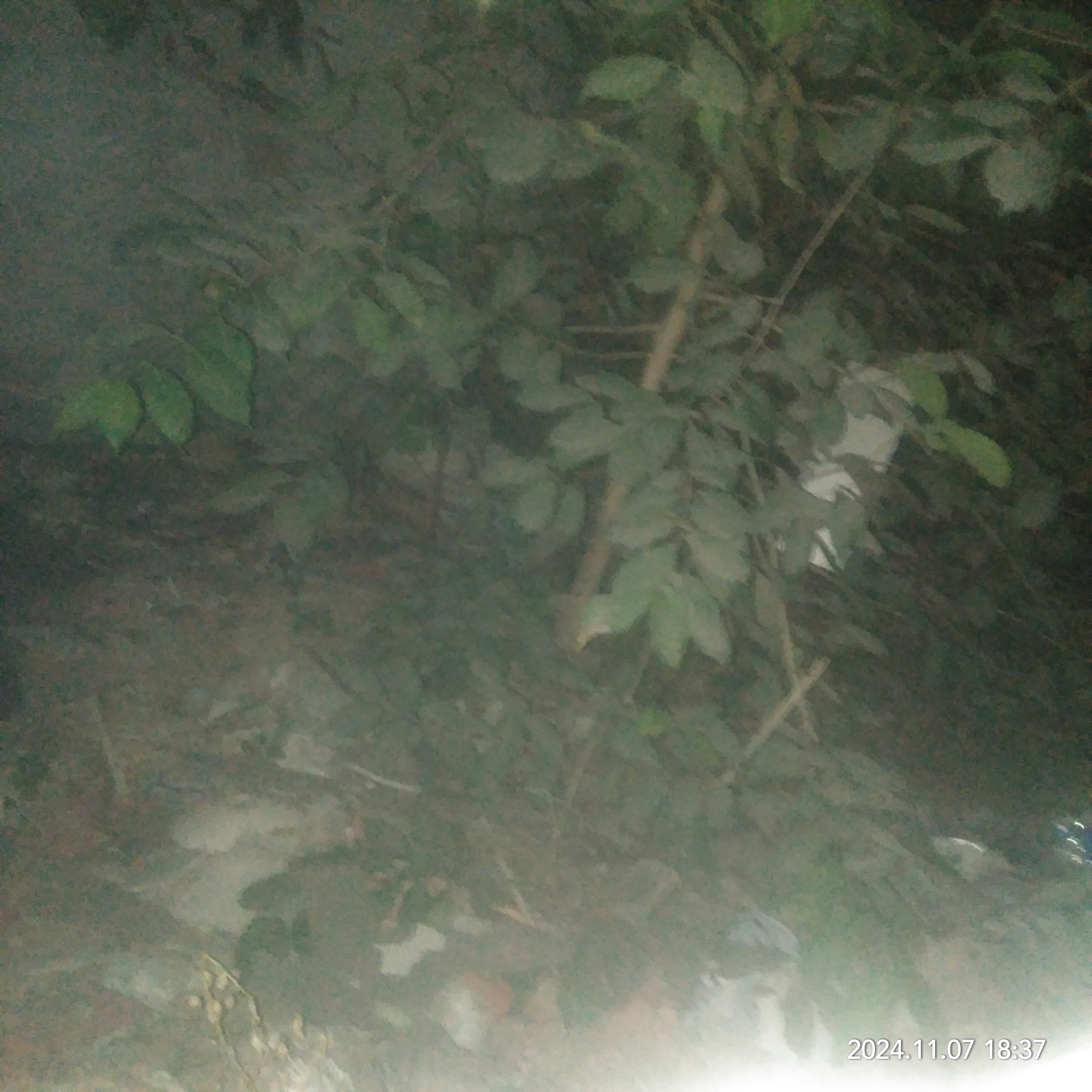 Plot For Sale in Akal Property Advisor 