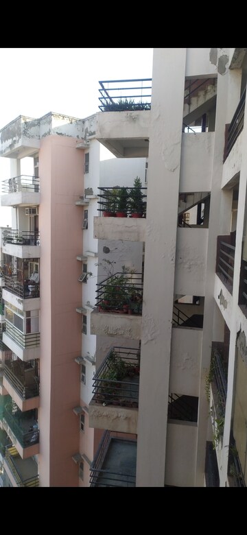 3 BHK Penthouse For Resale in Gaurs Homes Govindpuram Ghaziabad  8186928