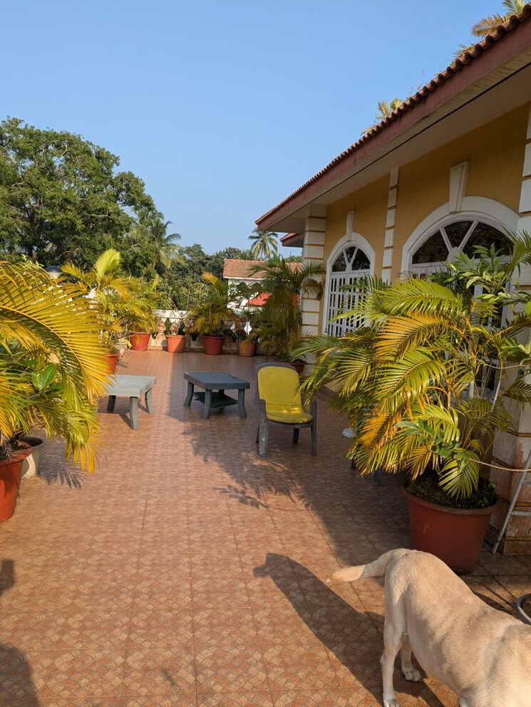 Exterior View, anjuna 4 Bedroom 343 Sq.Mt. Penthouse In Anjuna Goa 8186977