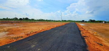 Plot For Resale in Otthakadai Madurai  8187726