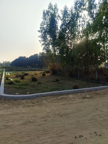 Plot Area in  Plot at Sahu City, Sultanpur Road – for Sale