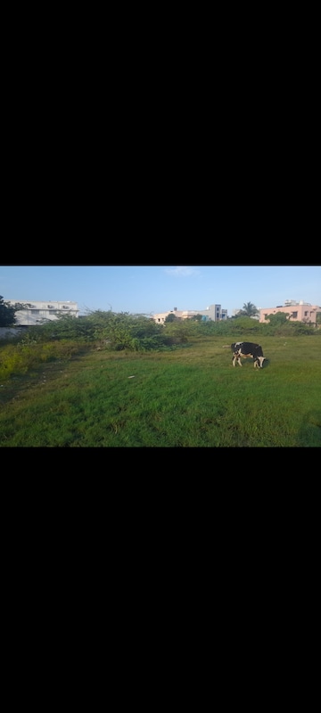 Plot For Resale in Thavalakuppam Pondicherry  8188375