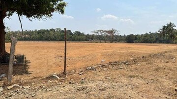 Plot For Resale in Alathur Palakkad  8188891