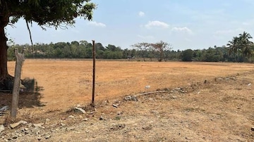 Plot For Resale in Alathur Palakkad  8188898