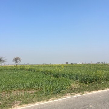 Plot Area in  Land at Nurpur Jharsa – for Sale