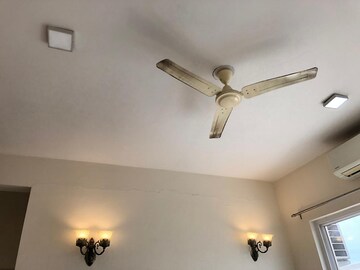 Furnished Amenities in 3 BHK Builder Floor at BPTP Astaire Gardens, Sector 70a – for Rent