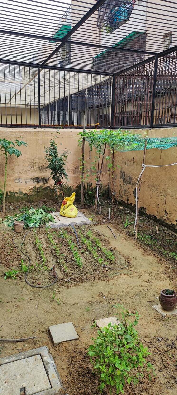 Master Bedroom, puri-vip-floors 4 Bedroom 300 Sq.Yd. Builder Floor In Sector 81 Faridabad 8189495